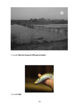 Diplomdarbs 'Uzņēmuma "Bute" jauna produkta izstrādes plāna izveide', 118.