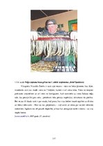 Diplomdarbs 'Uzņēmuma "Bute" jauna produkta izstrādes plāna izveide', 119.