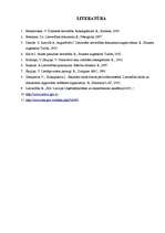 Referāts 'Lietvedība izglītības iestādē', 16.