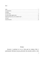 Referāts 'Korupcija policijas profesionālajā darbā', 3.