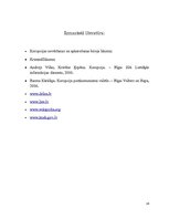 Referāts 'Korupcija policijas profesionālajā darbā', 16.