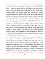 Diplomdarbs 'Administratīvie piespiešanas līdzekļi un to piemērošanas kārtība Valsts policijā', 9.