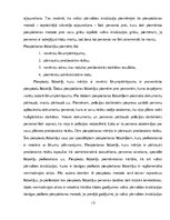 Diplomdarbs 'Administratīvie piespiešanas līdzekļi un to piemērošanas kārtība Valsts policijā', 13.