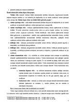 Konspekts 'Valūtas tirgus', 3.