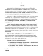 Referāts 'Reklāmas attīstība un reklāmas iespējas uzņēmumā SIA "X"', 5.