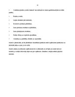 Referāts 'Reklāmas attīstība un reklāmas iespējas uzņēmumā SIA "X"', 24.