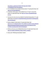 Referāts 'Reklāmas attīstība un reklāmas iespējas uzņēmumā SIA "X"', 29.