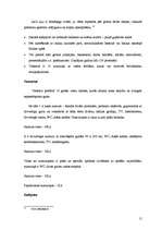 Referāts 'Viesnīcas "Lāču leja" darbības analīze', 15.