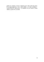 Referāts 'Andrejs Dripe "Mazā brīvība: publicistisks romāns no nesenas pagātnes"', 19.