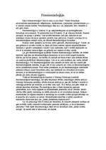 Eseja 'Fenomenoloģija', 1.