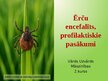 Prezentācija 'Ērču encefalīts, profilaktiskie pasākumi', 14.
