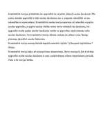 Referāts 'Naudas attīstība dažādās naudas teorijās', 13.