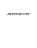 Referāts 'Skeitbords Latvijā un pasaulē', 2.