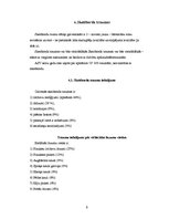 Referāts 'Skeitbords Latvijā un pasaulē', 9.