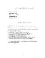 Referāts 'Skeitbords Latvijā un pasaulē', 10.