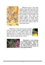 Konspekts 'Bites', 2.