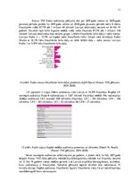 Diplomdarbs 'Mārketinga plāns radiostacijai', 13.