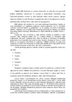 Diplomdarbs 'Mārketinga plāns radiostacijai', 38.