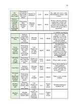 Diplomdarbs 'Mārketinga plāns radiostacijai', 42.