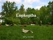 Prezentācija 'Lopkopība', 1.