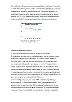 Referāts 'Darba spēka tirgus Eiropas Savienībā', 7.