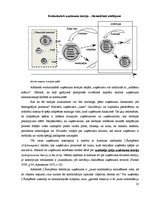 Diplomdarbs 'Uzņēmējdarbības demogrāfijas analīze Eiropas Savienībā un Latvijā', 19.