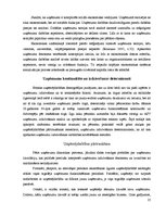 Diplomdarbs 'Uzņēmējdarbības demogrāfijas analīze Eiropas Savienībā un Latvijā', 21.