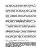 Diplomdarbs 'Uzņēmējdarbības demogrāfijas analīze Eiropas Savienībā un Latvijā', 33.