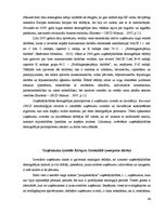Diplomdarbs 'Uzņēmējdarbības demogrāfijas analīze Eiropas Savienībā un Latvijā', 42.