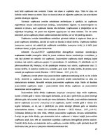 Diplomdarbs 'Uzņēmējdarbības demogrāfijas analīze Eiropas Savienībā un Latvijā', 43.