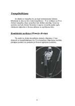 Referāts 'Ziemas sports', 4.