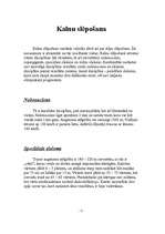 Referāts 'Ziemas sports', 5.