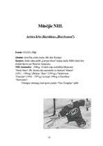 Referāts 'Ziemas sports', 19.