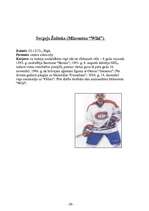 Referāts 'Ziemas sports', 22.