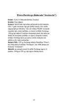 Referāts 'Ziemas sports', 25.