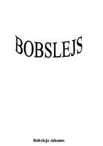 Referāts 'Ziemas sports', 27.