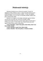 Referāts 'Ziemas sports', 29.