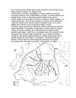 Konspekts 'Kontinents Mu', 2.