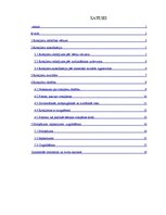 Referāts 'Rotaļlietas', 1.