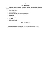 Referāts 'Rotaļlietas', 15.