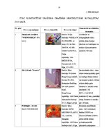 Referāts 'Rotaļlietas', 18.