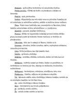 Konspekts 'Gramatiskā, teleoloģiskā, sistēmiskā un vēsturiskā interpretācija', 2.