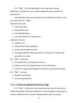 Biznesa plāns 'Lamināta un parketa tirdzniecība', 12.