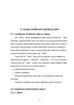 Biznesa plāns 'Lamināta un parketa tirdzniecība', 17.