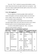 Biznesa plāns 'Lamināta un parketa tirdzniecība', 26.