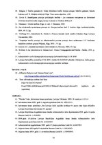 Referāts 'Administratīvais sods un problemātika saistībā ar tā noteikšanu', 34.