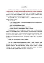 Referāts 'Smēķēšanas iemeslu vērtējums Jelgavas Spīdolas ģimnāzijas skolēnu vidū', 2.