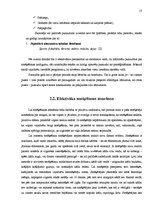 Referāts 'Smēķēšanas iemeslu vērtējums Jelgavas Spīdolas ģimnāzijas skolēnu vidū', 17.