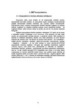 Referāts 'Iekšzemes kopprodukts ', 25.