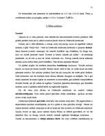 Referāts 'Franču Rivjēras noslēpumi', 21.